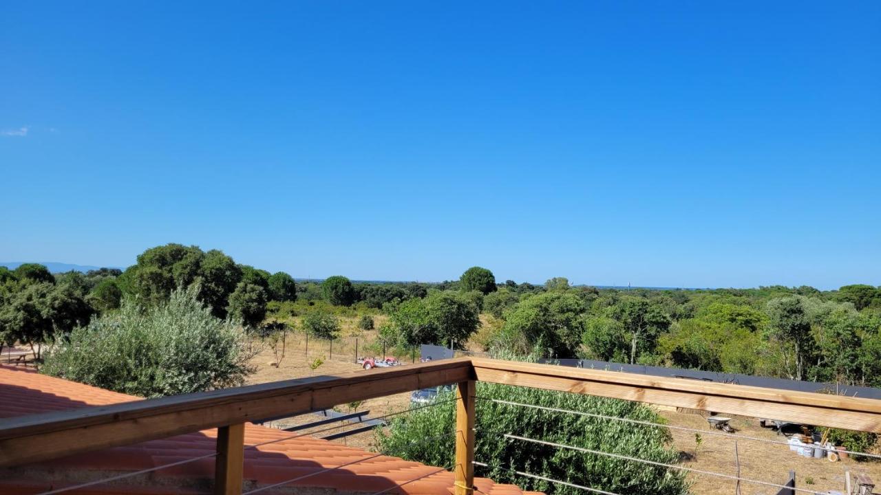 Gîte Du Soleil Maison lumineuse avec terrasse solarium parking privé Sorède Extérieur photo